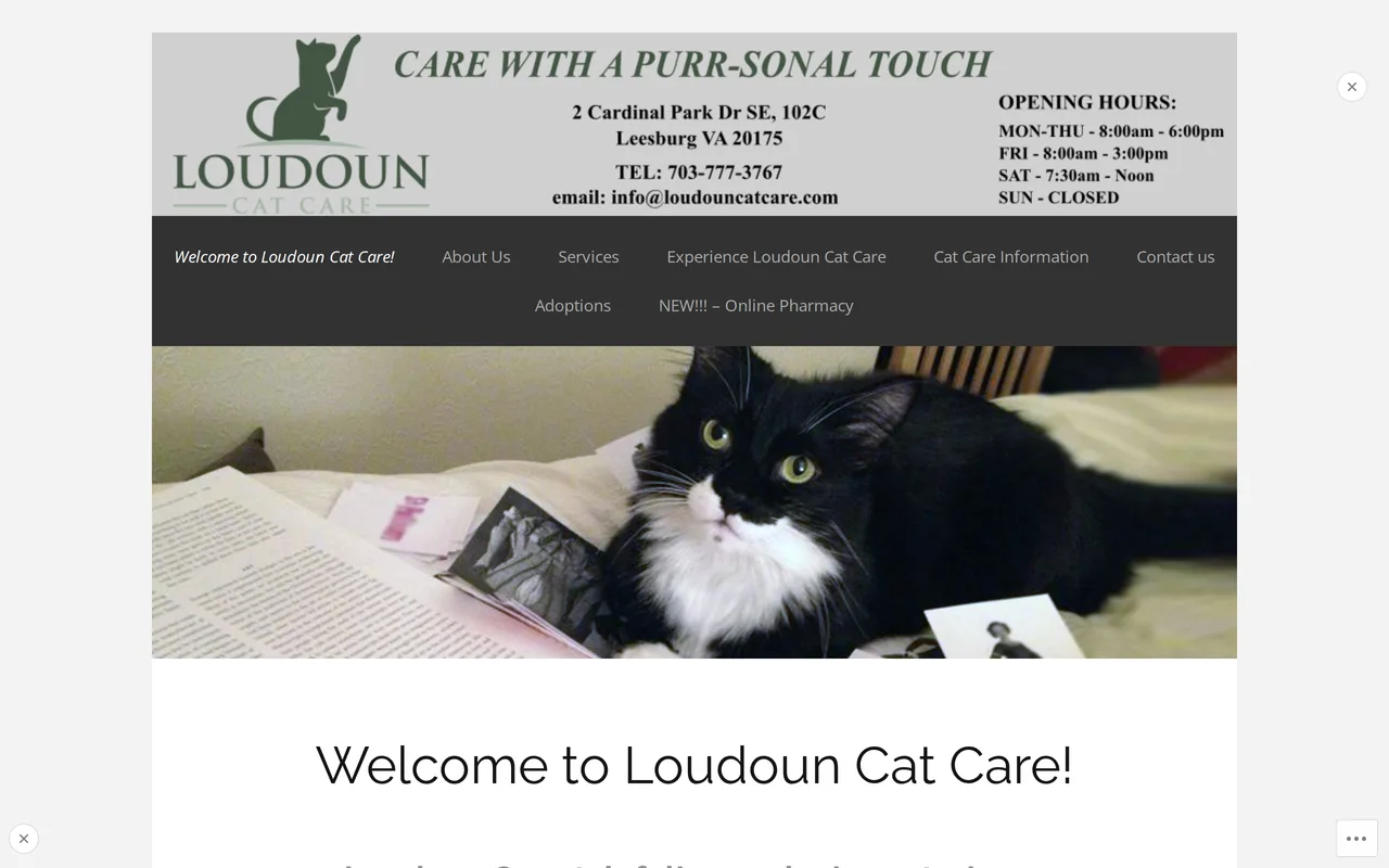 Loudoun Cat Care — old website (before)